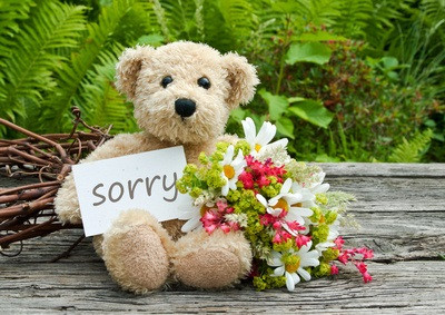 Welche Art Von Blumen Entschuldigung