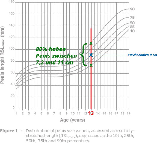 Penisgröße mit 13 Jahren - (Penis, Penislänge)