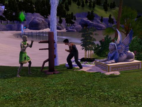 - (Computer, Sims 3)