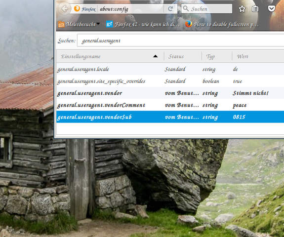 - (Internet, Firefox)
