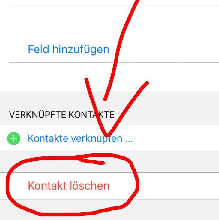 Können Blockierte Kontakte Mein Profilbild Sehen Whatsapp