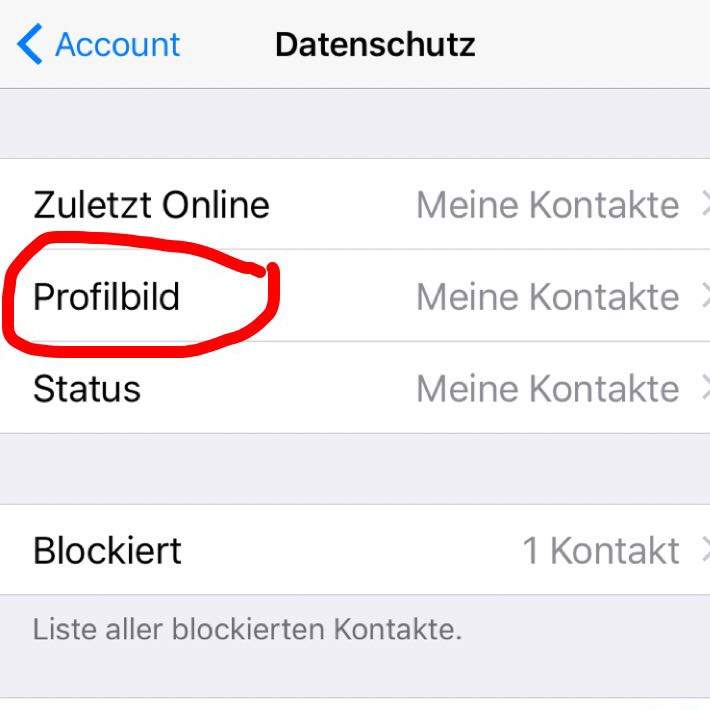 Konnen Blockierte Kontakte Mein Profilbild Sehen Whatsapp