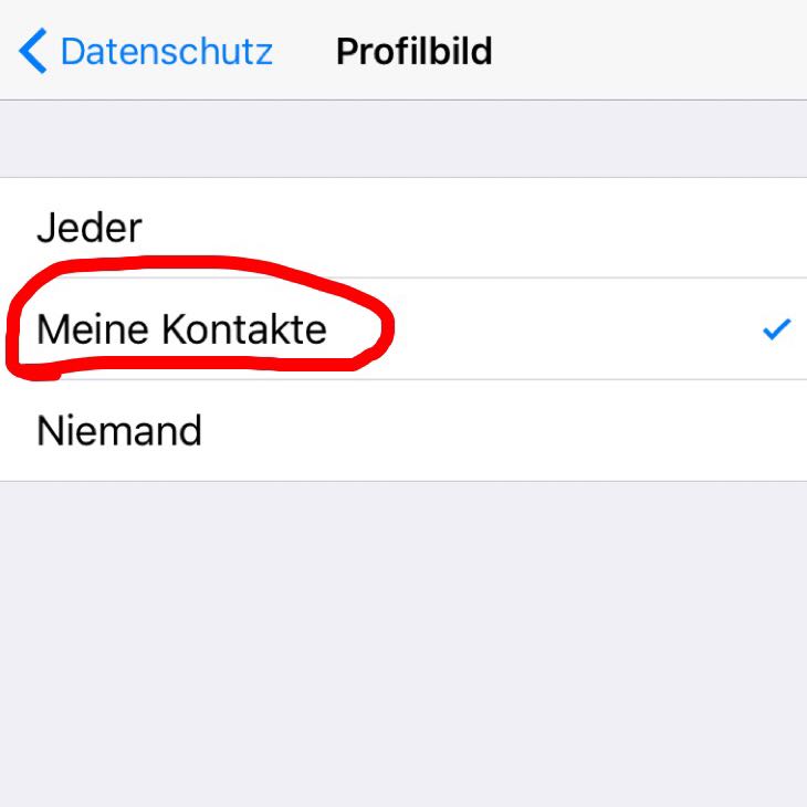 Können Blockierte Kontakte Mein Profilbild Sehen Whatsapp