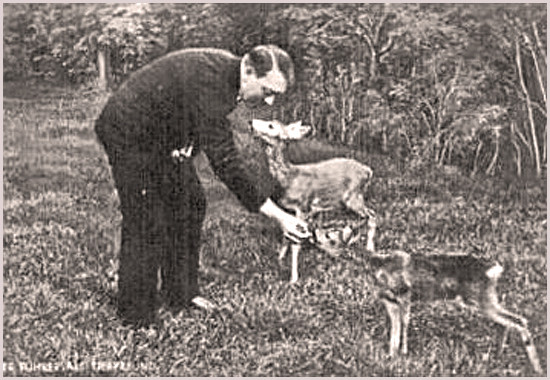 Adolf Hitler füttert Rehkitze - (Tiere, Adolf Hitler)