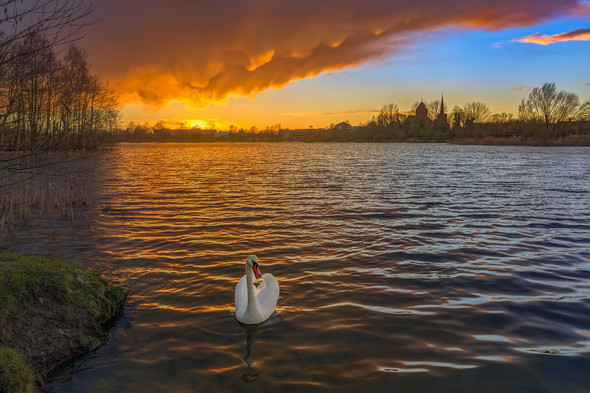 - (Fotografie, Photoshop, Bildbearbeitung)