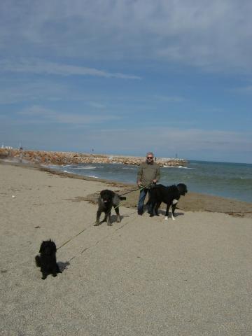 Am Mittelmeer - (Hund, tierpension, Hundepension)