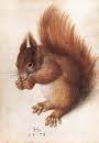 eichhörnchen - (Tiere, Maus, braun)