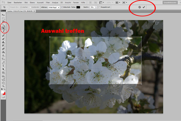 - (Bilder, Photoshop, Bildbearbeitung)