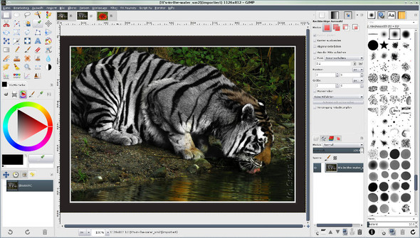 Gimp 2.8 Einfenstermodus mit individualisierten Docks und 3 geöffneten Bildern - (Internet, kostenlos, Fotografie)