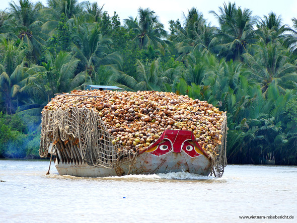 Ausflug ins Mekong Delta - (Freizeit, Urlaub, Ratgeber)