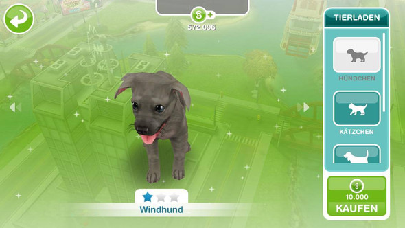 Wildhund - (Technik, Internet, Games)