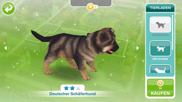 Deutscher Schäferhund - (Technik, Internet, Games)