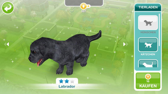 Labrador - (Technik, Internet, Games)