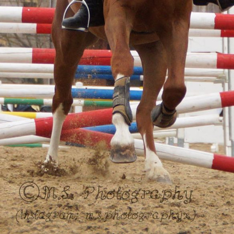 Copyright - (Recht, Facebook, Bilder)