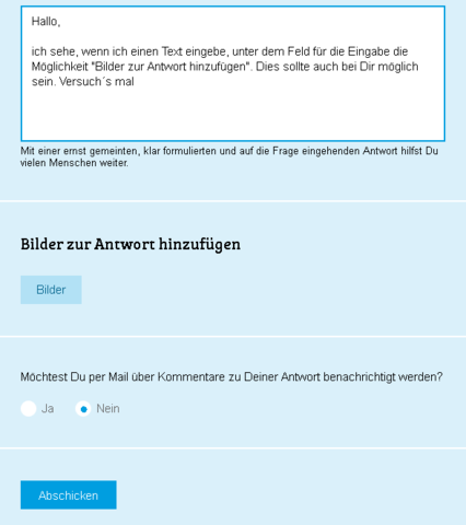 So sieht die Eingabemaske aus. - (Haushalt, Haustiere, Möbel)