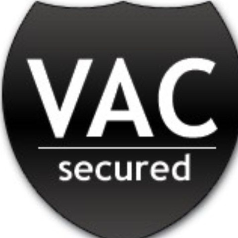 ValveAntiCheat  - (Computer, Internet, Steam)