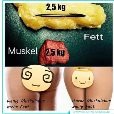 Nochmal das erklärte zum fett und muskelanteil😁 - (abnehmen, nulldiaet)