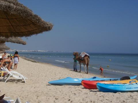  - (Urlaub, gefährlich, Tunesien)
