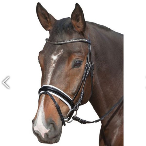 Trense - (Pferde, trense, reitsportzubehoer)