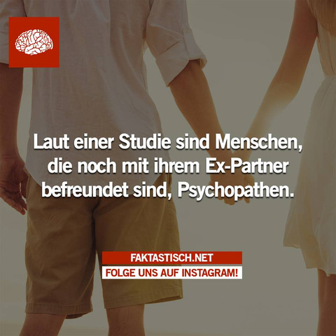 wie verliebt sich mein ex wieder in mich