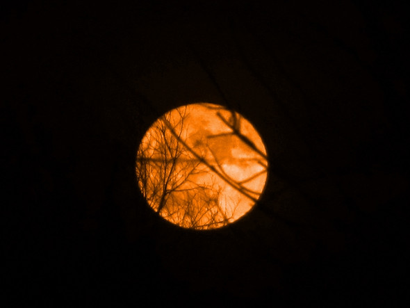 roter Mond - (Fotografie, Mond, Sternenhimmel)
