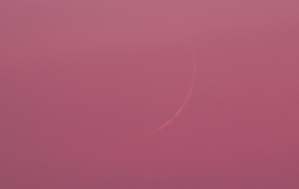 schmale Mondsichel - (Fotografie, Mond, Sternenhimmel)