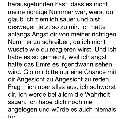 2.teil von der Übersetzung - (deutsch, übersetzen, türkisch)