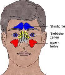 - (Gesundheit, Medizin, Arzt)