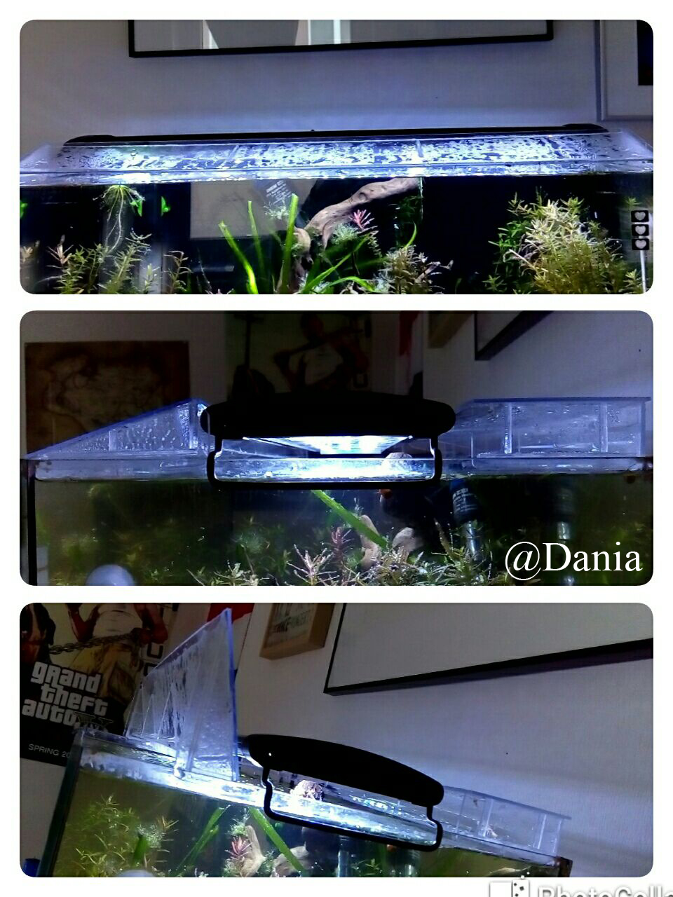 Aquarium Im Schlafzimmer Spiele Geld Wasser Aquarium Im Schlafzimmer Spiele Geld Wasser