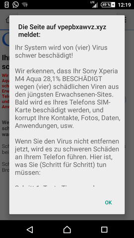 - (Internet, Viren, Trojaner)