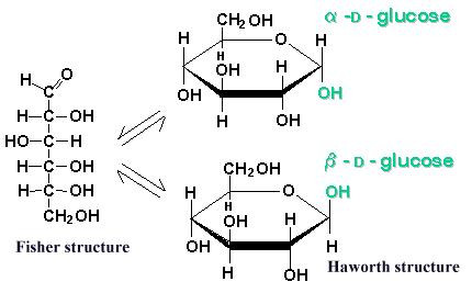 Fischer und Harworth - (Chemie, Fructose, Fischer)