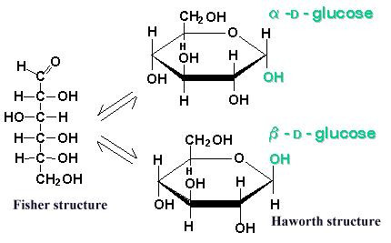 structure cyclic l-glucose Projektion? Fischer Haworth und Fructose (Chemie) structure cyclic l-glucose Projektion? Fischer Haworth und Fructose (Chemie)