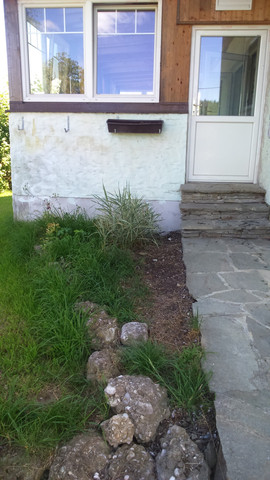 - (Garten, Pflanzen, Gestaltung)