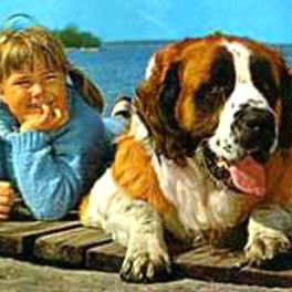 Bootsmann  - (Hund, Eltern, Name)