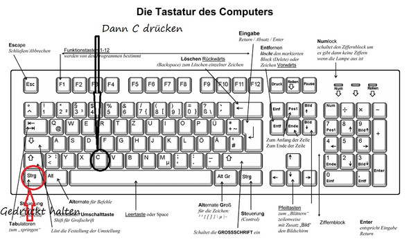 Wie kan ich einen Kopierten Text in die Text-Zeile in Minecraft einfügen?