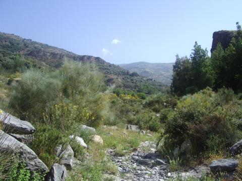 "Fluss" in Andalusien im Sommer - (Spanien, fluesse-spanien)