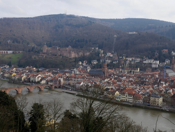 Heidelberg Panorama vom Philosophenweg aus - (Reise, Deutschland)