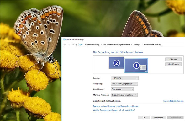- (Bilder, Größe, Grafik)