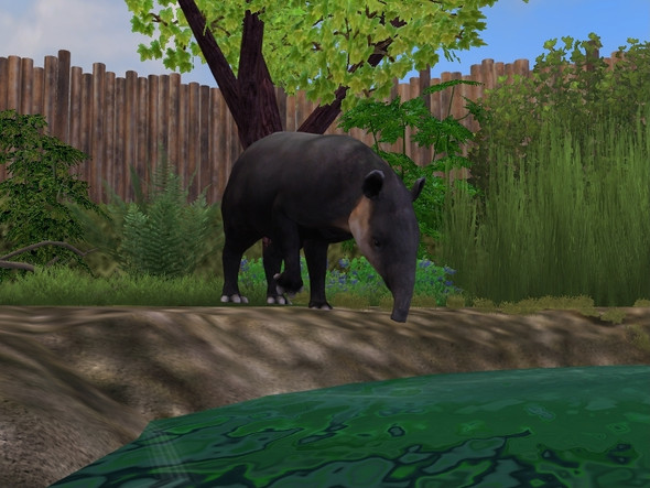 Mittelamerikanischer Tapir Remake - (Computerspiele, Tiere, Windows 7)