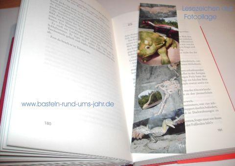 Fototapete Mit Mehreren Bildern Basteln Collage