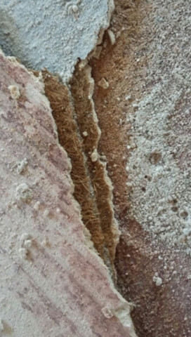 Asbest unter Teppich?