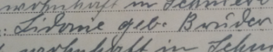 suterlin - (Stammbaum, Familienstammbaum, alte schrift)