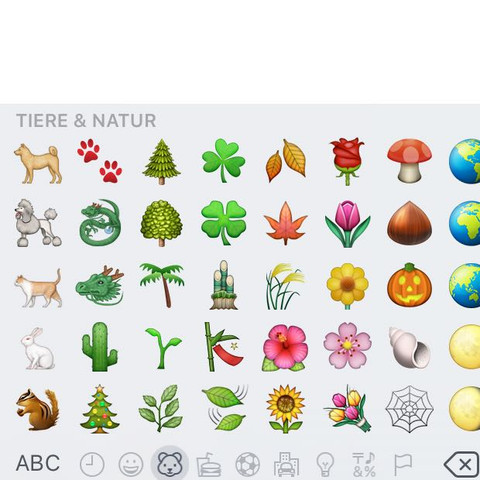 Whatsapp handy kostenlos samsung Whatsapp handy kostenlos samsung