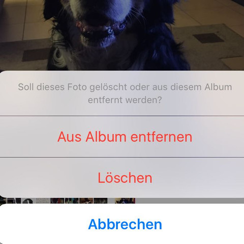 Löschen / Aus Album entfernen  - (iPhone, fotos-sortieren)