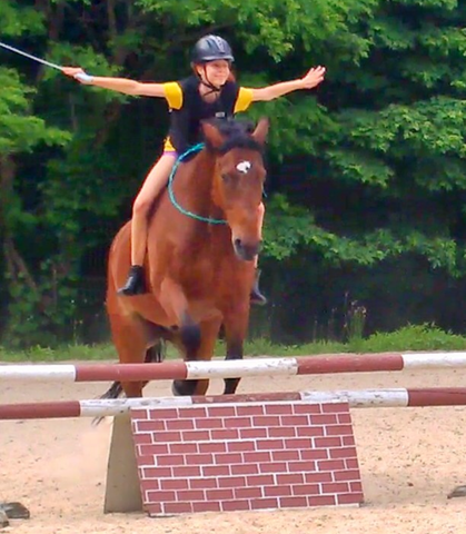 100 cm Stange ohne Sattel und Trense - (Pferde, reiten, Sattel)