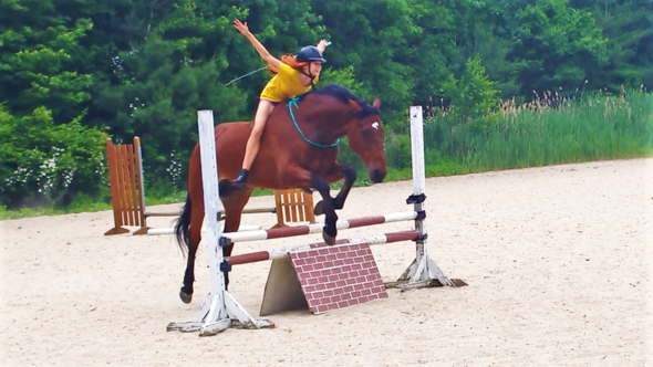 - (Pferde, Reiten, Sattel)