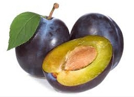 Pflaume plum - (Deutsch, Obst)