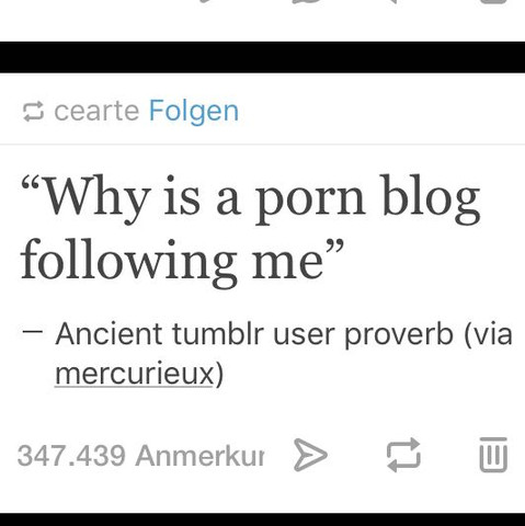 Porn Blog  - (Sex, Blog, Folgen)