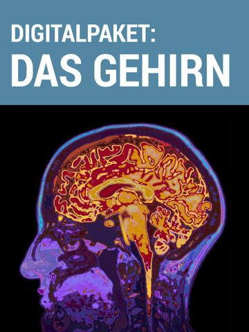 Digitalpaket "Das Gehirn" - (Medizin, Psychologie, Studium)