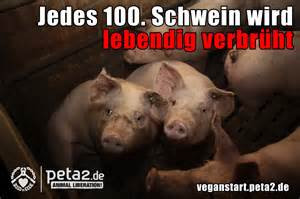 - (essen, vegan, Veganer)